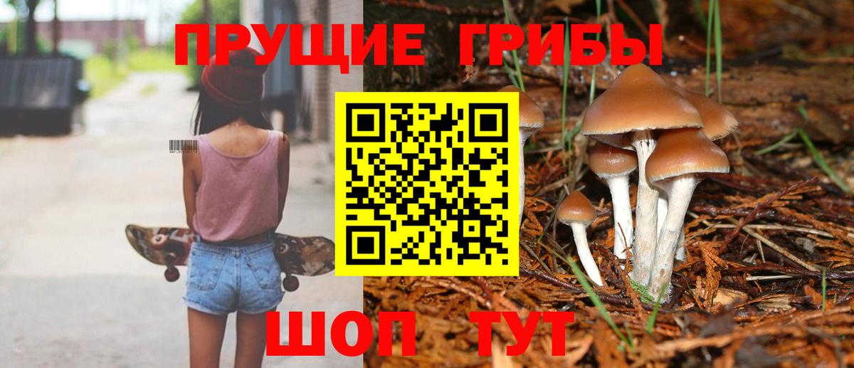 Псилоцибиновые грибы ЛСД  Вход с VPN  Алексин 